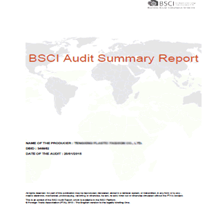 BSCI audited raincoat supplier